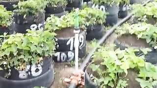 НАЧИН ЗА ИЗПОЛЗУВАНЕ НА НЕПРОДУКТИВНИ ЗЕМИ