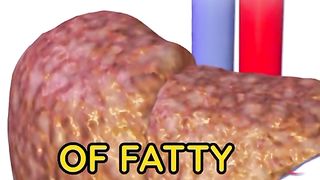 Fit healthy