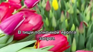 Весеннее настроение