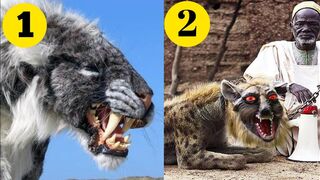 Top 10 Dangerous Animals In Pakistan | Top 10 Dangerous Animals In The World | Emotional Reader