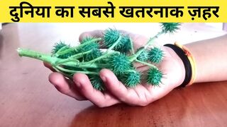 Deadliest Poison | World's most deadly poison | India's most poisonous plants | ricin