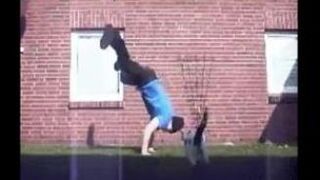 Flying Cat