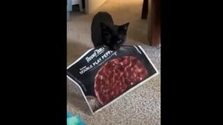 Order Pizza