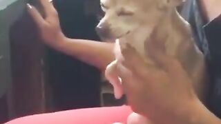Need more love