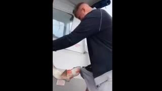 Almost Got Bitten...