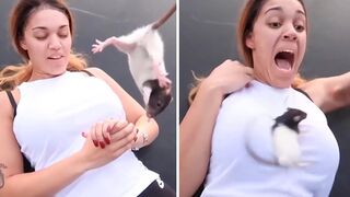 Damn Laughing Out Loud Fails