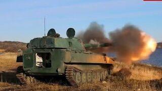 Ukraine mobilized reservists Bragg trained with 2S1 Gvozdika howitzers by the 61st Naval Infantry Brigade