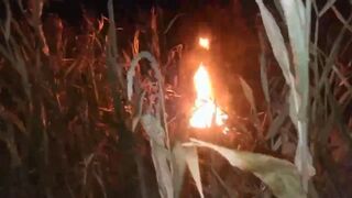 Ukrainian MiG-29 fighter aircraft jet reportedly crashed in Vinnytsia Oblast