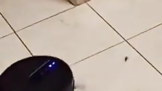 Chasing