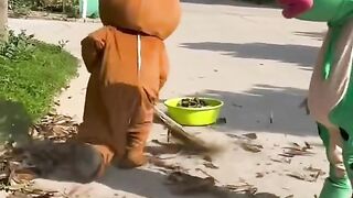 funny bear
