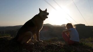 German Shepherd On The Mountain - Funny Dog Videos - Funny Memes - Slow motion Videos