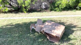 English Bulldog And Amazon Box