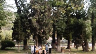 Mughal Wah Garden | 455 Years Old Garden in Wah | SAAF INFOTAINMENT YouTube Channel