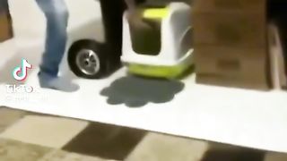 Funny cats 27