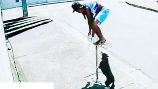 Funny Video 52
