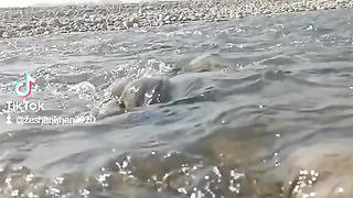 Riverside 2