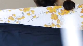 Gatos quanta fofura gente vocês precisam ver esse vídeo