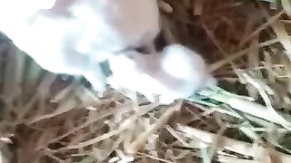 Cute babies 5