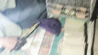 Kismat ka hall btaany wala tota parrot
