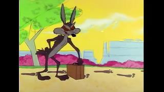 Looni tunes cartoon animated movie