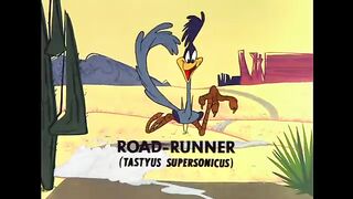 Looni tunes cartoon movie 5