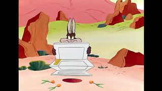 Looni tunes cartoon movie 7