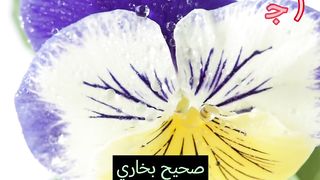 Motivational Quotes | 2023 Motivation | Hadees E Nabvi | Quotes | Urdu Quotes | Hades in Urdu 2