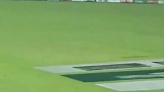 Pakistan vs. New Zealand 2023 2nd ODI