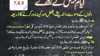 Information 21