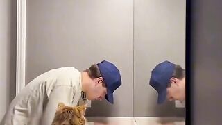 Cat learning how to work
