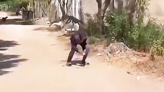 Prank 29