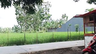 Pemandangan di kampung
