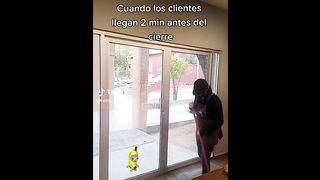 FUNNY CAT MEMES COMPILATION OF 2023 V18