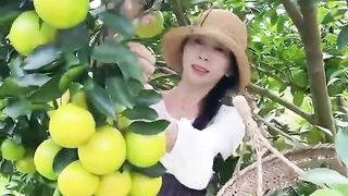 Enjoy beautiful nature with rural life 107