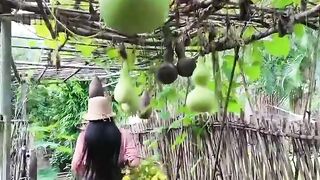 Enjoy beautiful nature with rural life 111