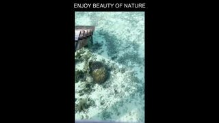 Enjoy beauty of nature