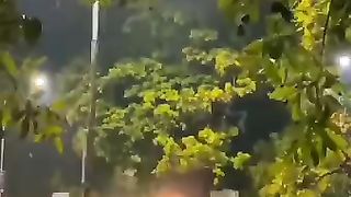 Nature at the best
