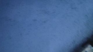 Birds 6