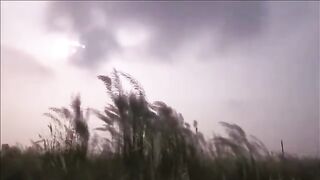 קוסמו - שיר ערש ישראלי