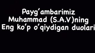 Videos 8