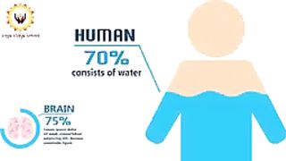 How to drink water