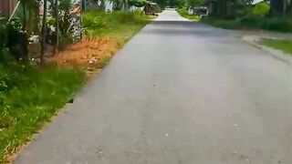 Pulang kampung