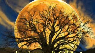 Surah Kafiroon beautiful tilawat,terjma
