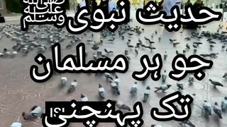 Hadees E Pak S.A.W 6