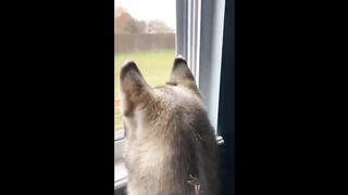 If you laugh only once, you lose