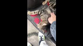 Can you watch 10 minutes without laughing?