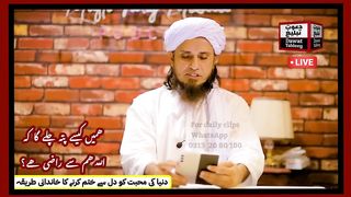 نیو اسلامک ویڈیو 2023 86