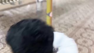 Funny videos 89