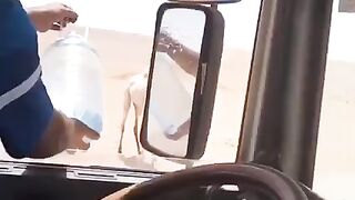 Nice video 61