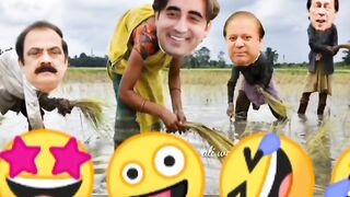 Funny video 719